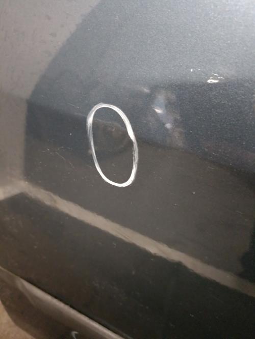 Image Porte arriere gauche - DACIA LOGAN 1