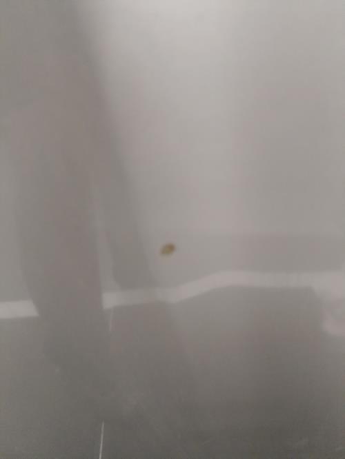 Image Capot - OPEL FRONTERA B