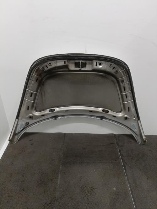 Image Capot - VOLKSWAGEN NEW BEETLE 1