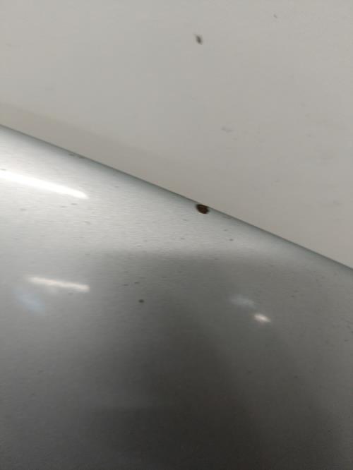 Image Capot - ROVER 75