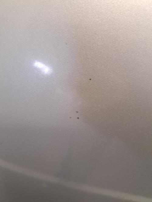 Image Capot - CITROEN C5 1