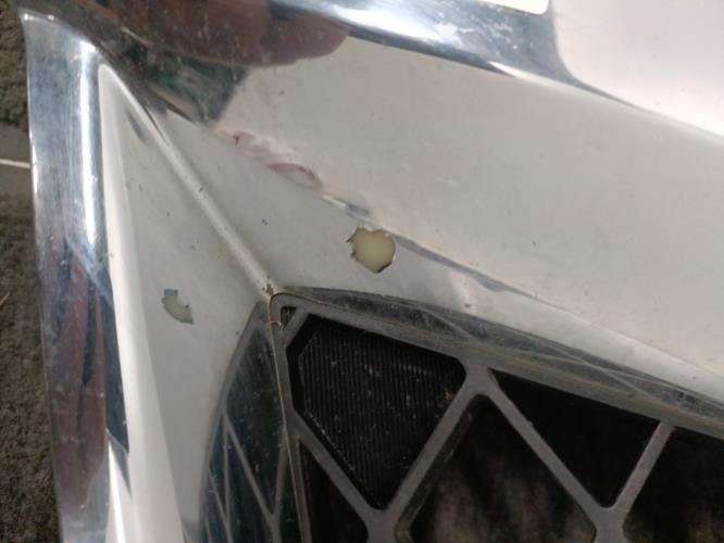 Image Calandre - NISSAN PATHFINDER 2