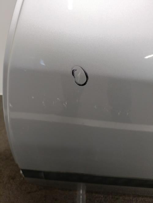 Image Porte arriere gauche - PEUGEOT 307