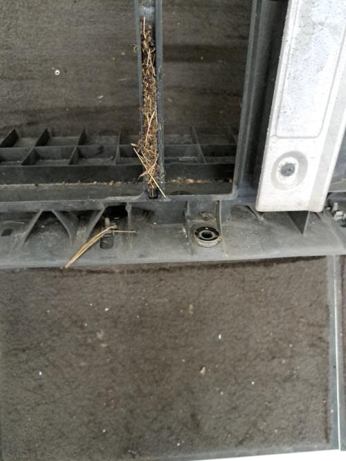 Image Buse - CITROEN C3 3