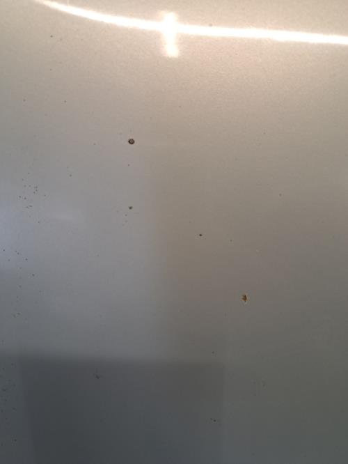 Image Capot - RENAULT CLIO 2