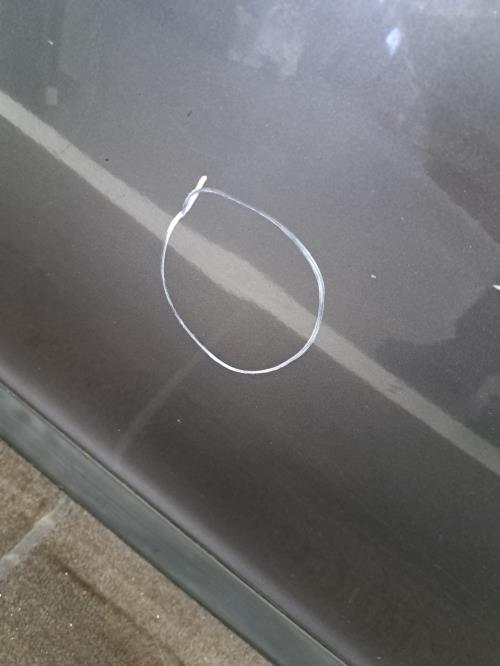 Image Porte arriere gauche - CITROEN C4 1