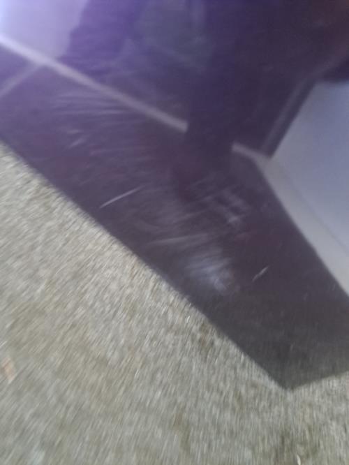 Image Capot - RENAULT MODUS