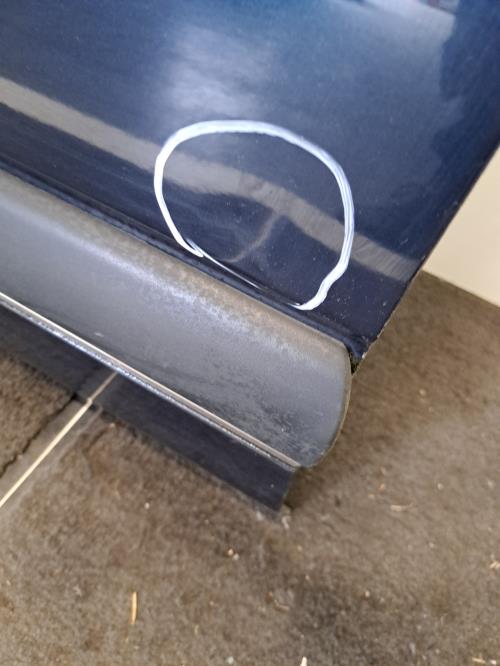 Image Porte avant gauche - RENAULT SAFRANE