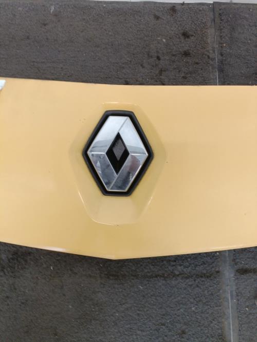 Image Calandre - RENAULT KANGOO 2