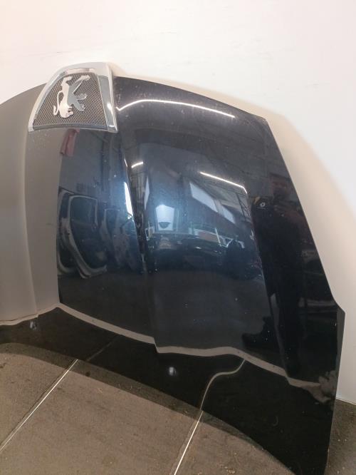 Image Capot - PEUGEOT 4007