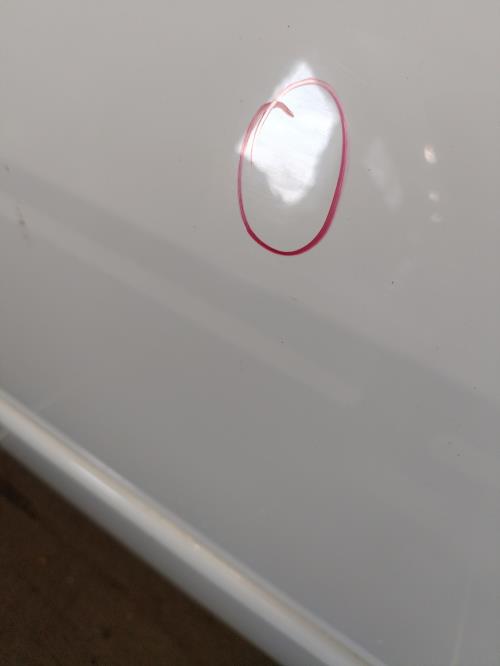 Image Porte arriere gauche - DACIA LOGAN 1