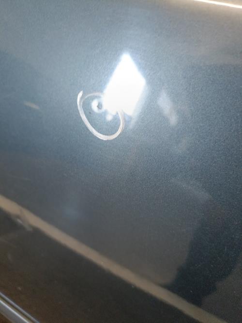 Image Porte arriere gauche - SKODA FABIA 2