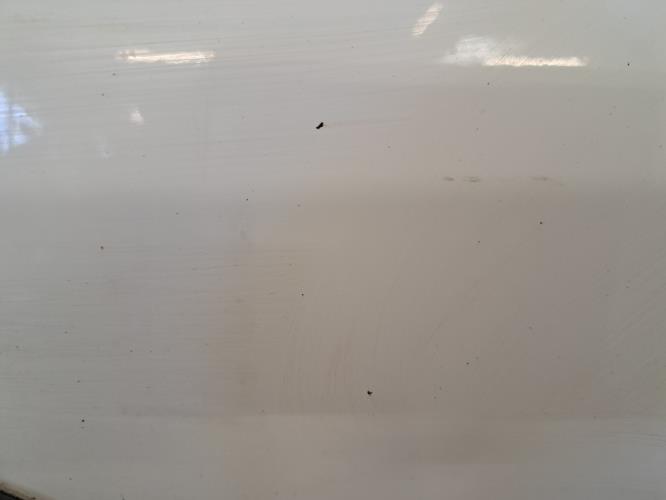 Image Porte de coffre droit - FIAT DOBLO 2