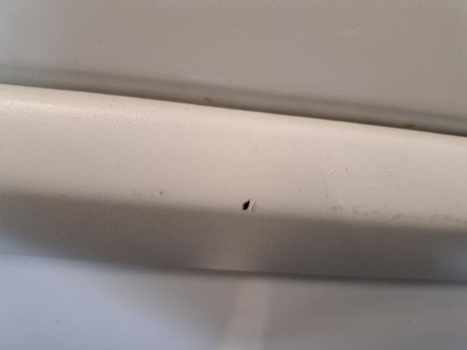 Image Porte arriere gauche - RENAULT CLIO 3