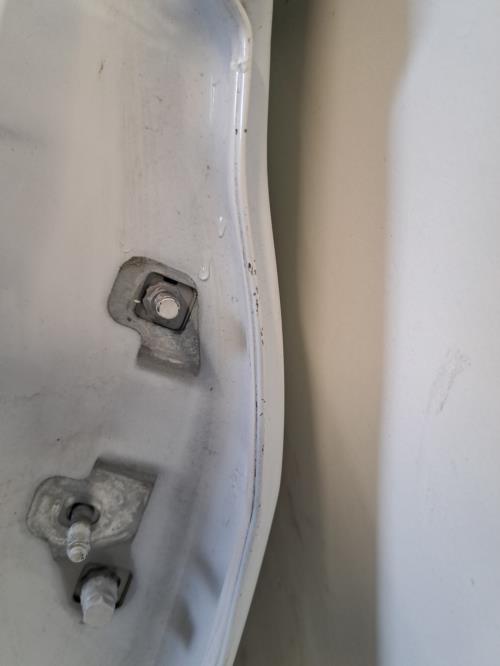 Image Porte arriere gauche - RENAULT CLIO 3