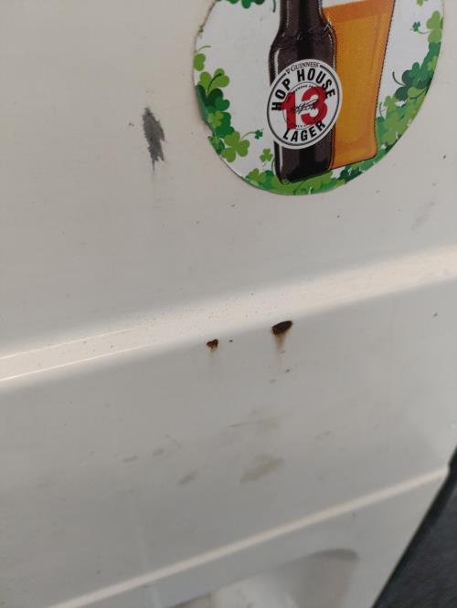 Image Porte de coffre gauche - FORD TRANSIT 3
