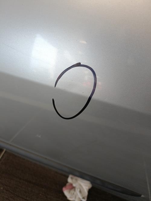 Image Porte arriere gauche - RENAULT CLIO 3