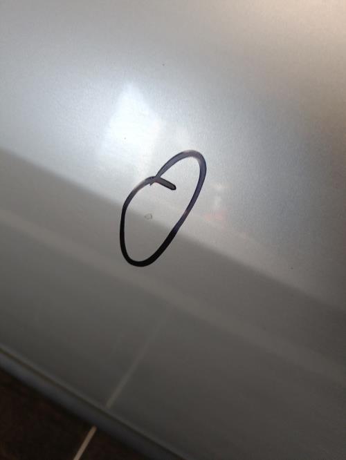 Image Porte arriere gauche - RENAULT CLIO 3