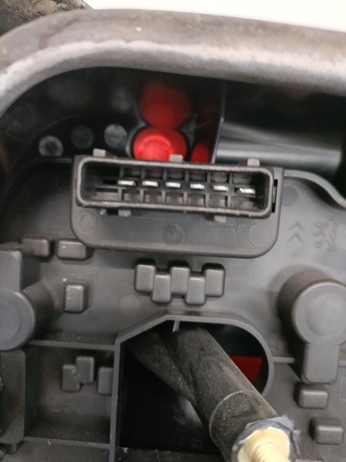Image Feu arriere principal gauche (feux) - CITROEN XSARA