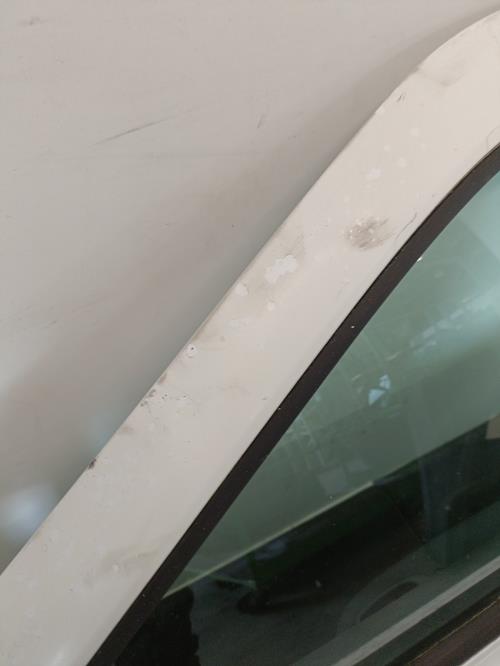 Image Porte avant gauche - RENAULT CLIO 2