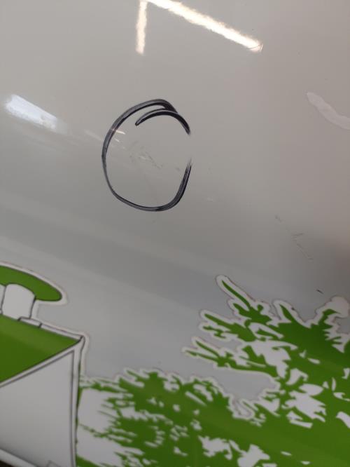 Image Porte arriere gauche - RENAULT ZOE 1