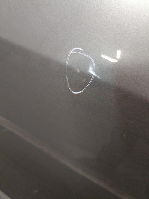 Image Porte avant droit - RENAULT SCENIC 2