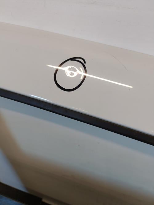 Image Porte arriere gauche - DACIA SANDERO 2
