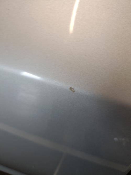 Image Porte arriere droit - OPEL ASTRA J