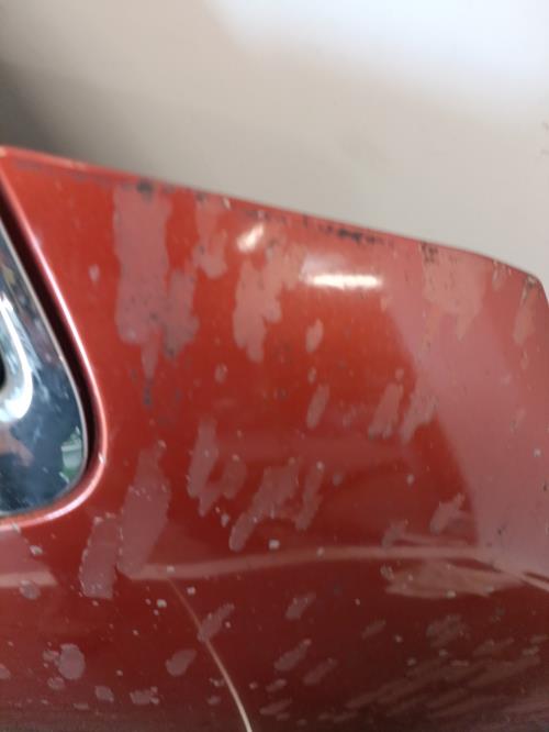 Image Capot - LANCIA MUSA