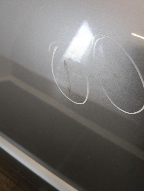 Image Porte avant gauche - RENAULT MEGANE 2