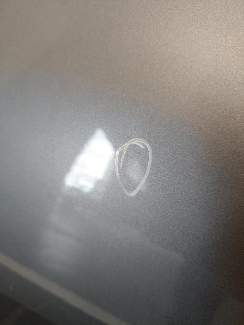 Image Porte avant gauche - RENAULT MEGANE 2
