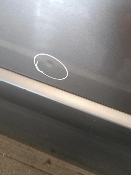 Image Porte avant gauche - RENAULT MEGANE 2
