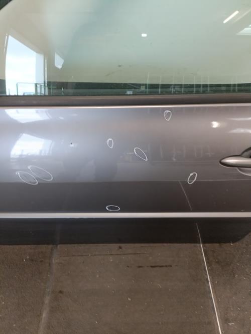 Image Porte avant gauche - RENAULT MEGANE 2
