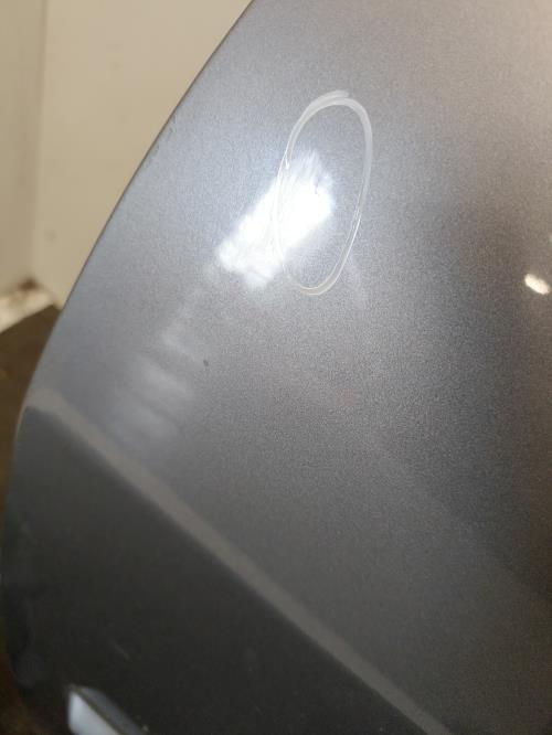 Image Porte avant gauche - RENAULT MEGANE 2