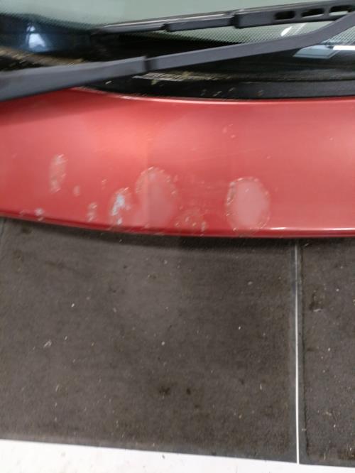 Image Malle/Hayon arriere - CITROEN XSARA
