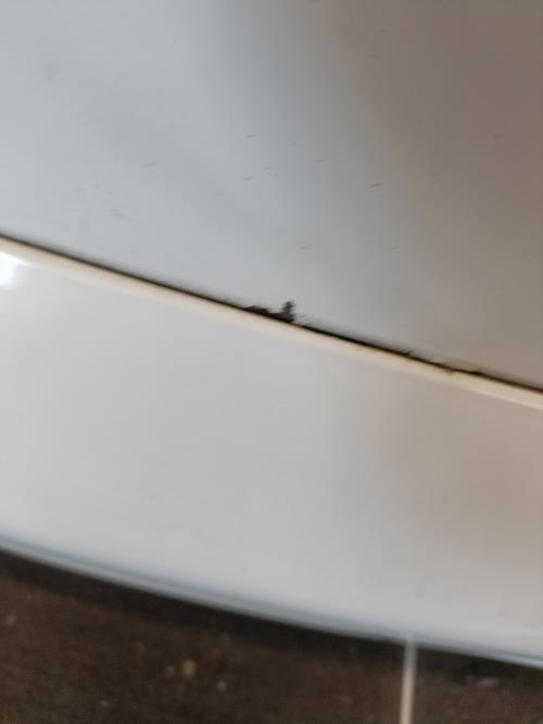 Image Malle/Hayon arriere - CITROEN C4 PICASSO 1
