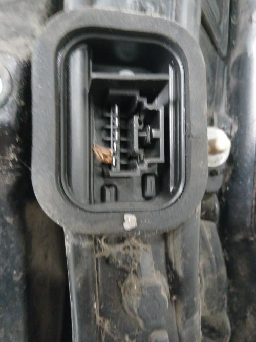 Image Feu arriere principal gauche (feux) - FIAT PANDA 2