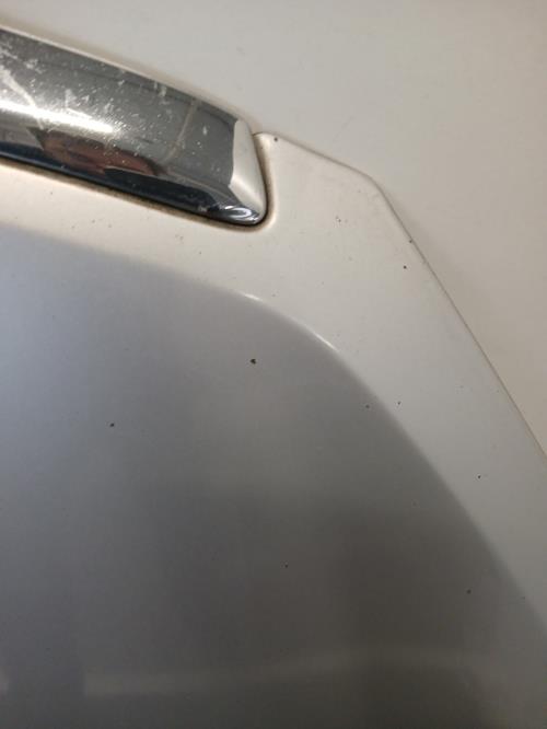 Image Capot - FORD C-MAX 1