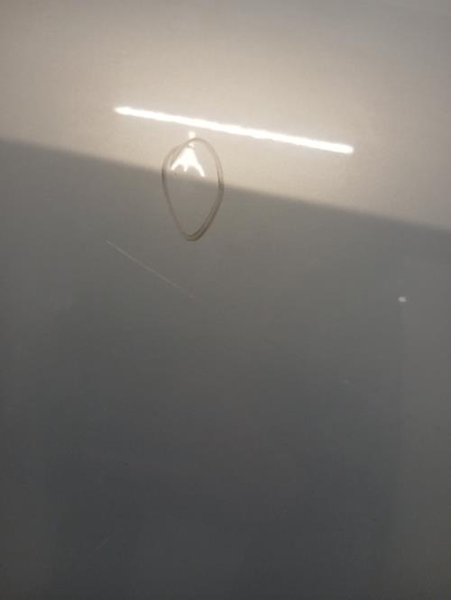 Image Porte arriere droit - RENAULT MODUS