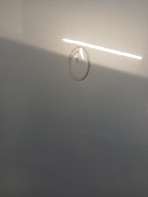 Image Porte arriere droit - RENAULT MODUS