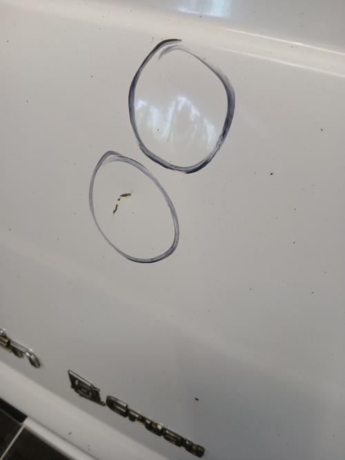 Image Porte de coffre gauche - CITROEN JUMPY 2