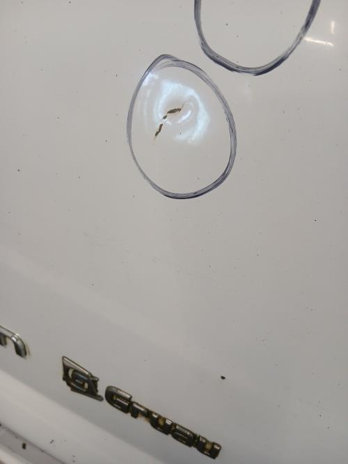 Image Porte de coffre gauche - CITROEN JUMPY 2