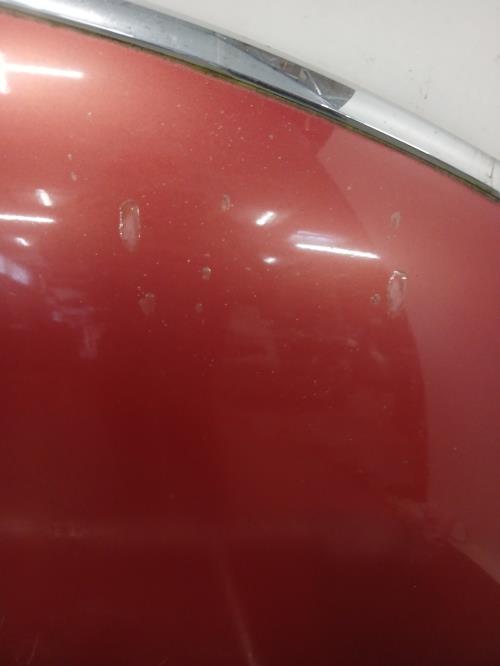 Image Capot - CITROEN C4 PICASSO 1