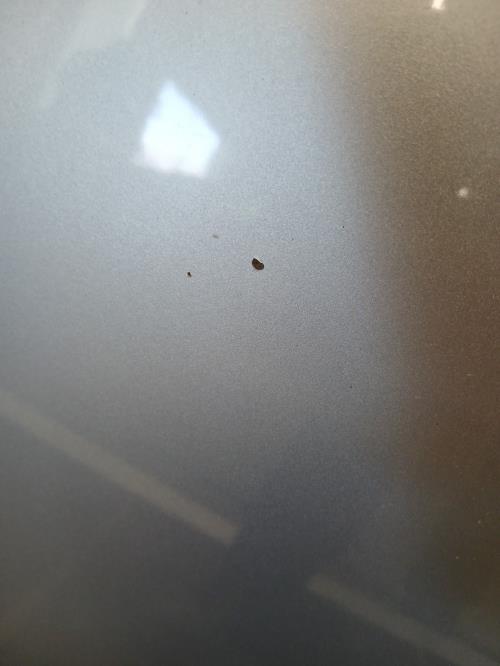 Image Capot - RENAULT CLIO 3