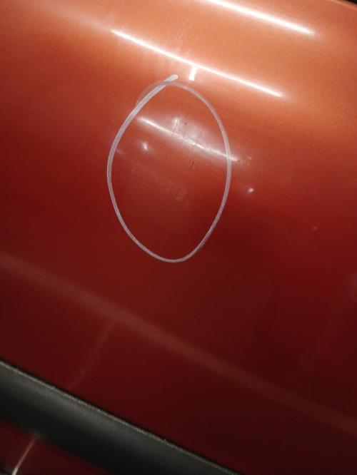 Image Porte arriere gauche - RENAULT CLIO 2