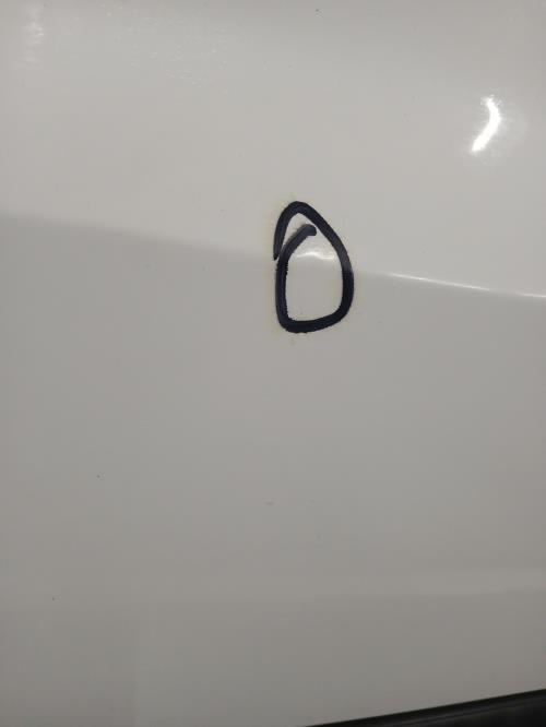 Image Porte avant gauche - RENAULT CLIO 3
