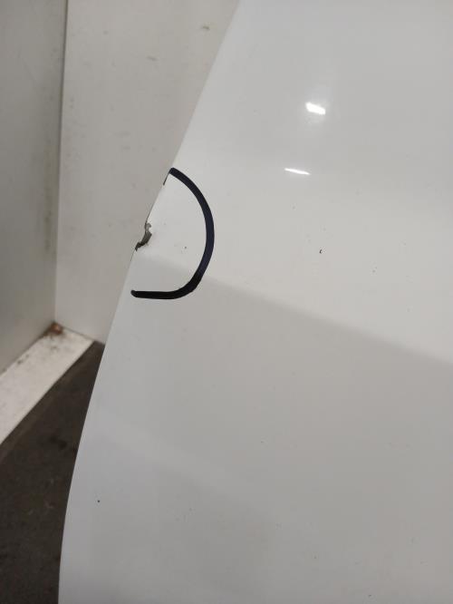 Image Porte avant gauche - RENAULT CLIO 3