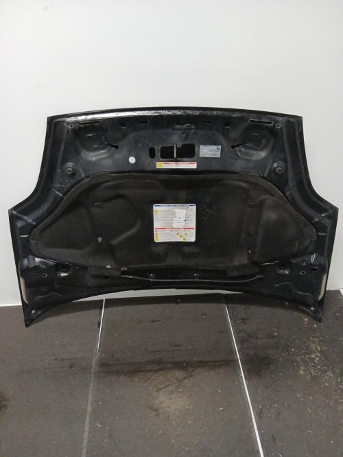 Image Capot - FIAT PUNTO EVO 3