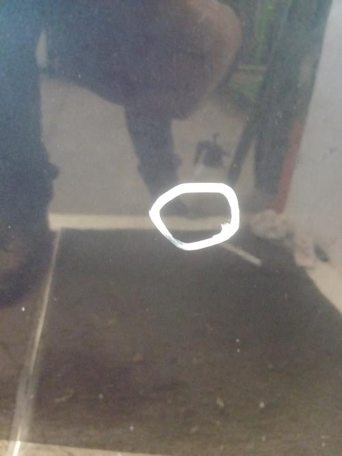 Image Capot - RENAULT CLIO 2