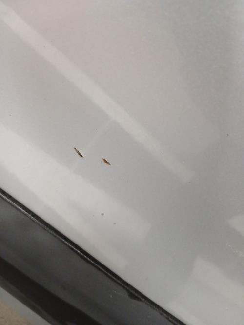Image Porte avant gauche - CITROEN BERLINGO 2